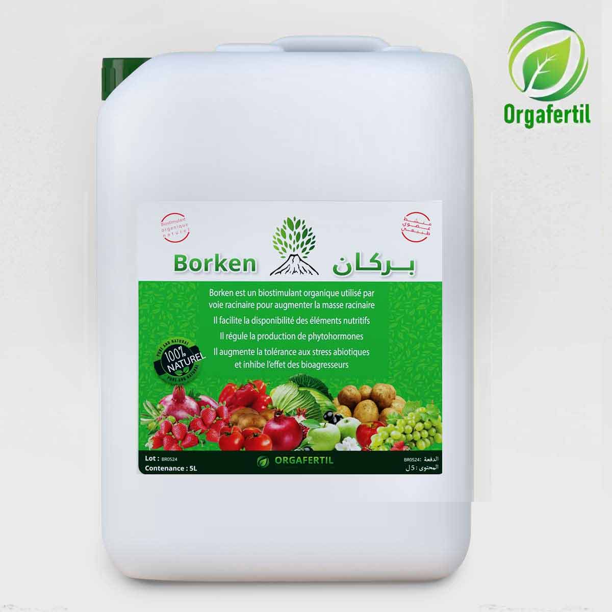 Borken – Biostimulant bactérien<br>بركان – منشط حيوي بكتيري – Image 3