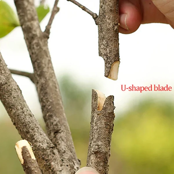 Professional Garden Grafting Tool – Image 4