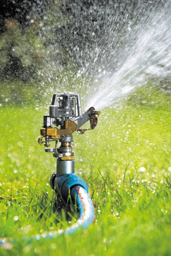 Arroseur professionnel - Pulverisateur de jardin en métal a impulsion - – Image 2