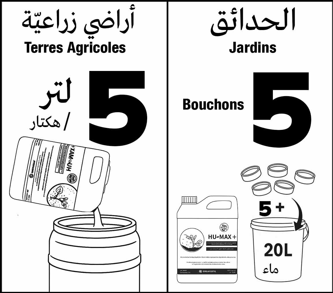 Borken Explication