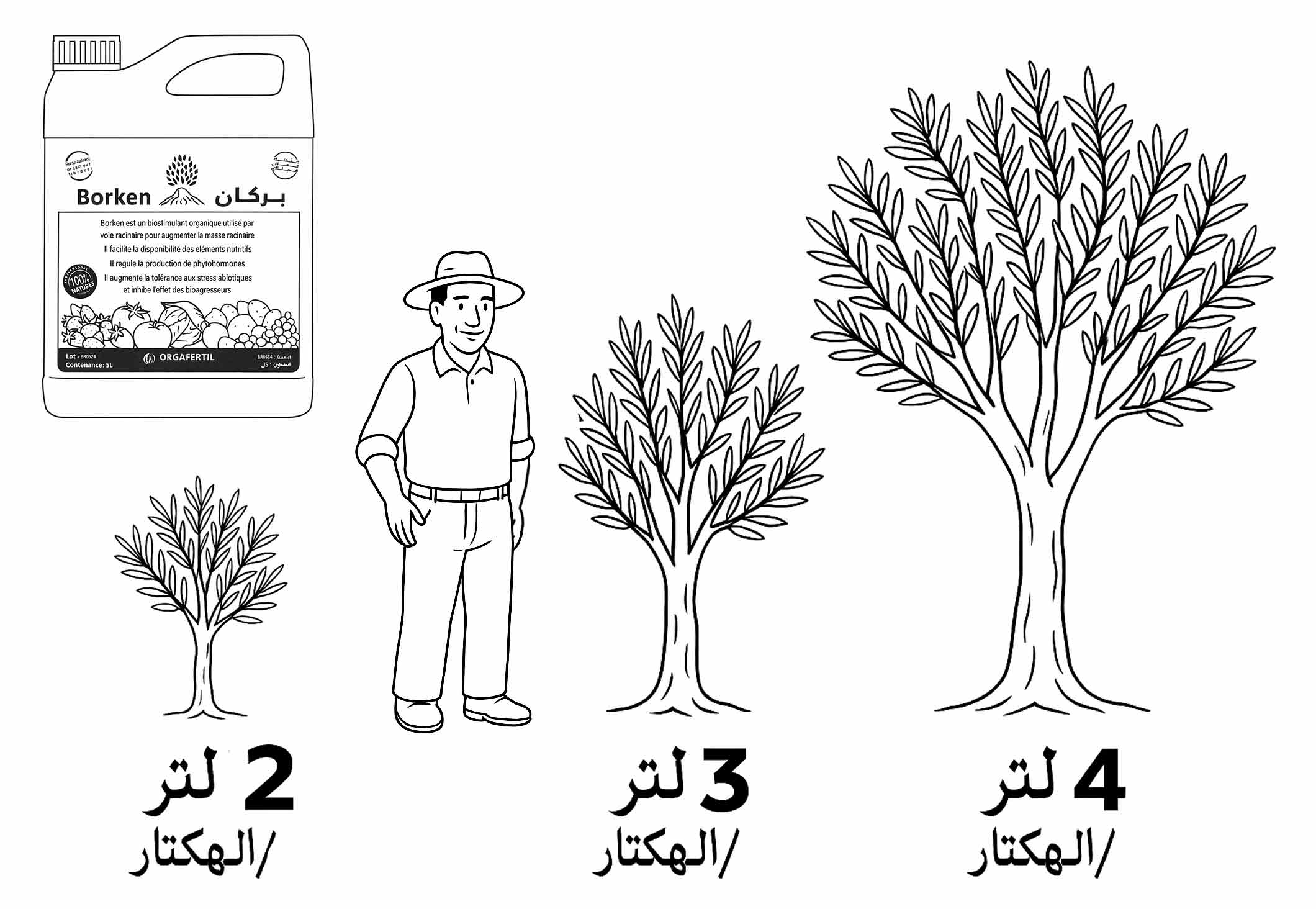 Borken Explication