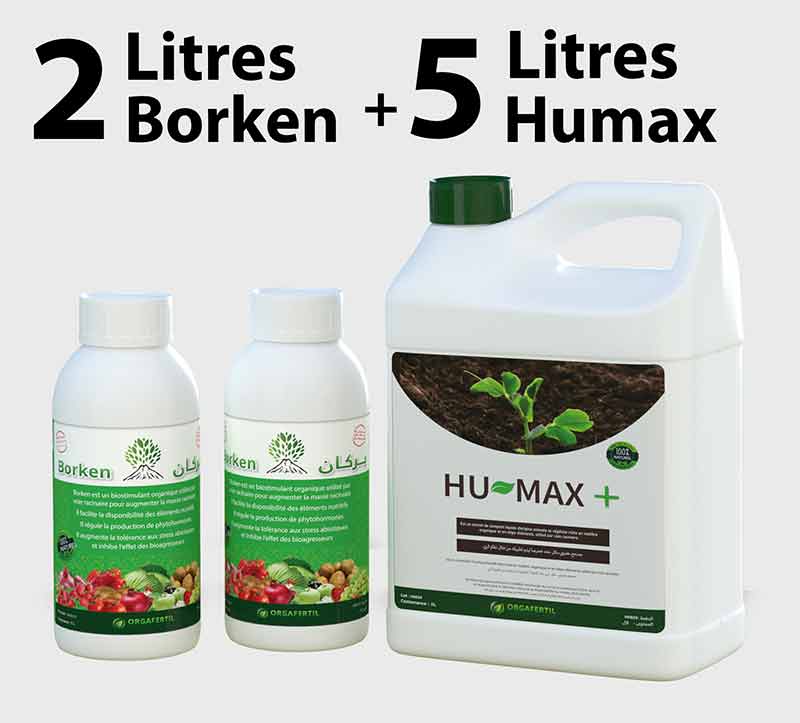 Borken 2L + Humax 5 L<br> من 80 الى 150 شجرة<br> من 0-الى2 عام<br> او طول 0صم الى 150صم