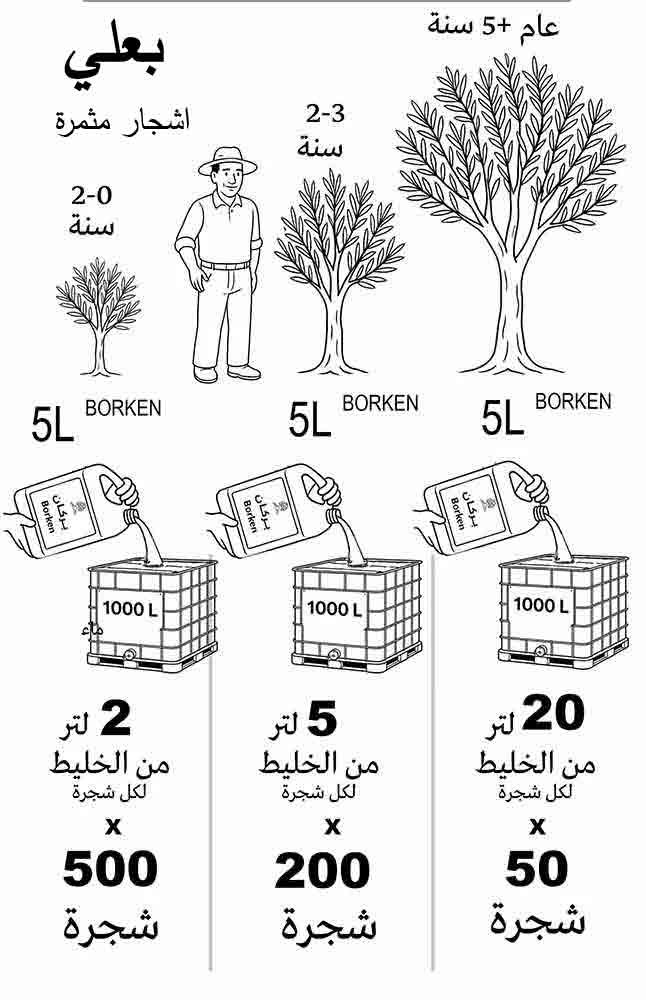 طريقة استعمال بركان