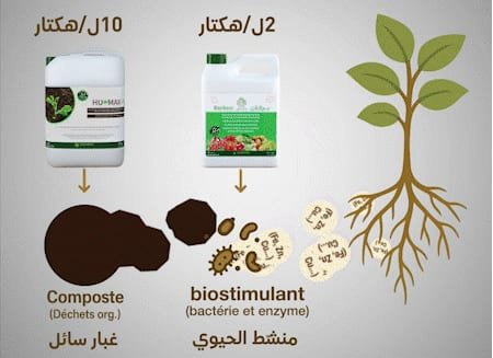 PACK Humax (20 Litres)+ (5 Litres)بركان - biostimulant tunisie - Tunisie - agribiotunisie - image 2