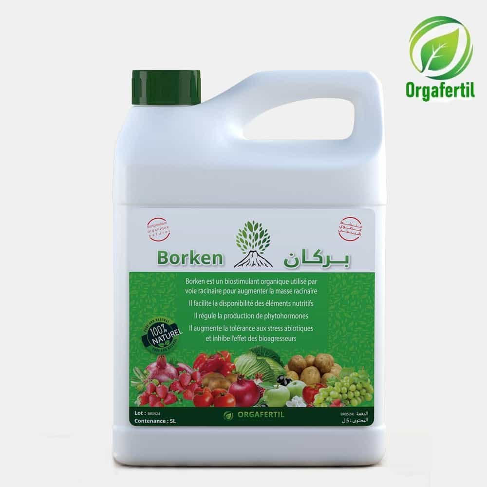 Borken – Biostimulant bactérien بركان – منشط حيوي بكتيري - irrigation agricole tunisie - Tunisie - agribiotunisie -...
