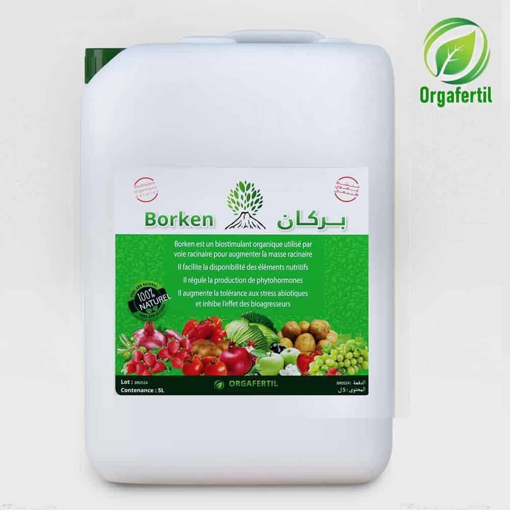 Borken – Biostimulant bactérien بركان – منشط حيوي بكتيري - irrigation agricole tunisie - Tunisie - agribiotunisie -...