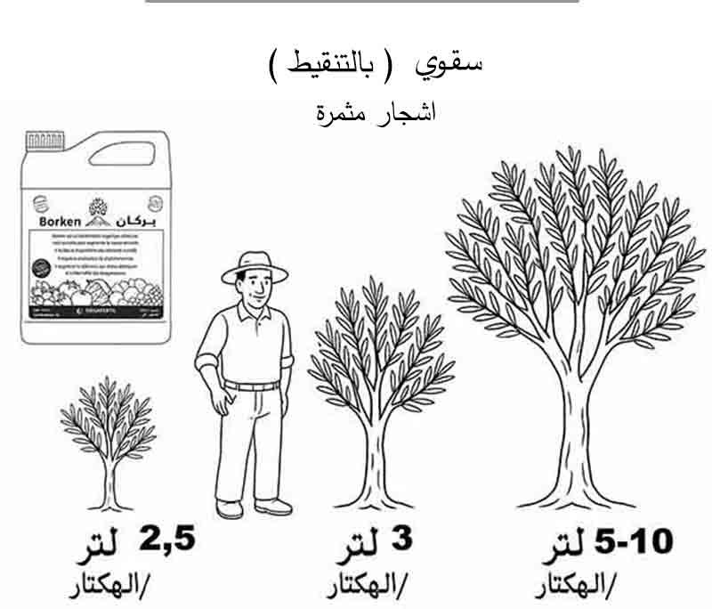 طريقة استعمال بركان